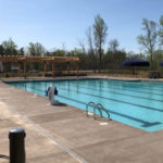 Poolside Timber Frame Shade Trellis Structure